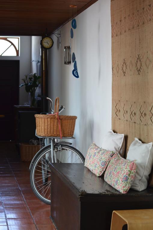 A Casa Da Arvore Bed and Breakfast Vila Nova de Milfontes Eksteriør billede