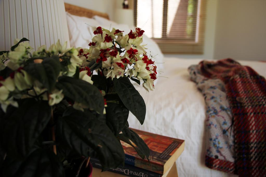 A Casa Da Arvore Bed and Breakfast Vila Nova de Milfontes Værelse billede