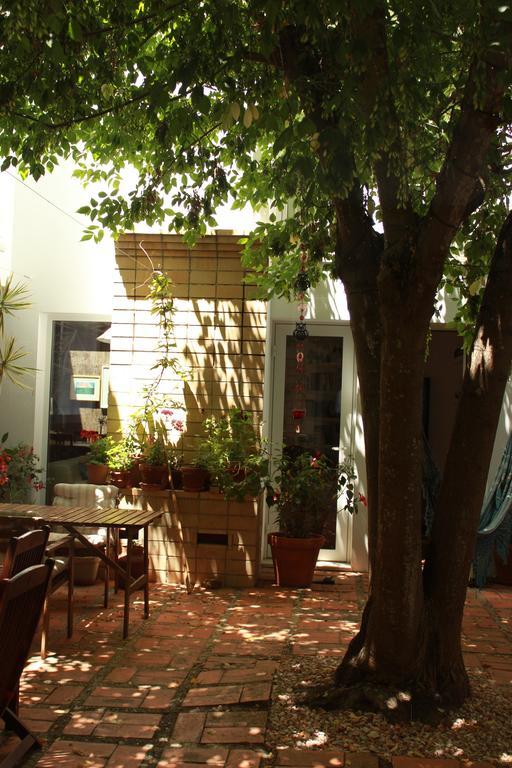A Casa Da Arvore Bed and Breakfast Vila Nova de Milfontes Eksteriør billede